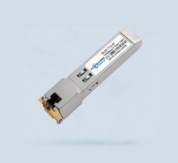 1000M RJ45