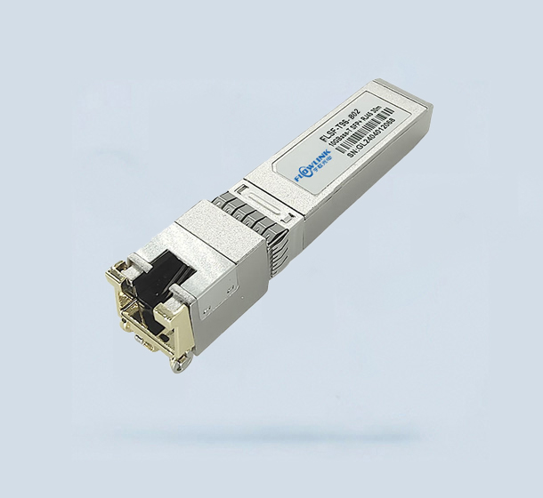 10G RJ45